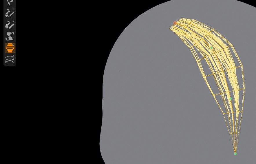 Groom viewport with the Width tool selected and a card strip selected over head geometry.