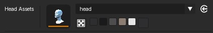 Head Assets control with the active head asset and color swatches.