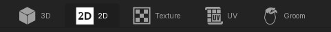 Workspace tab strip with 3D, 2D, Texture, UV, and Groom views.