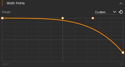 Width profile controls in the Hair panel.